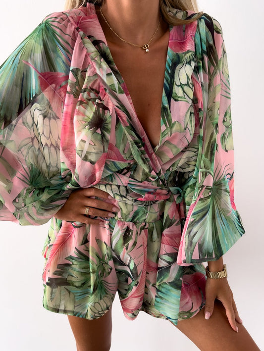 Feline - Zomerset
